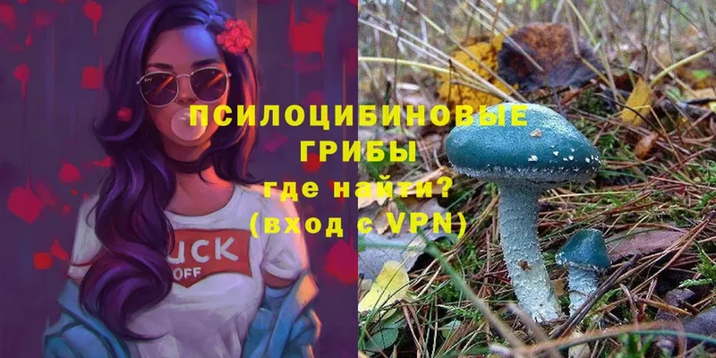 МЕГА ССЫЛКА  Лангепас  Псилоцибиновые грибы мицелий 